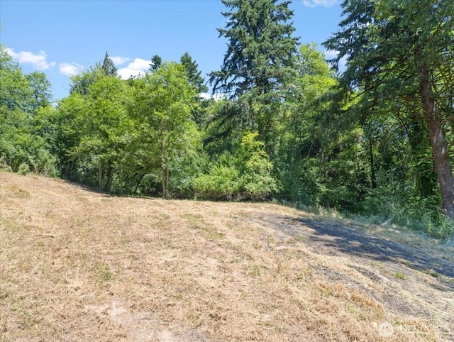 0 Bergly Ln, Longview, WA 98632 - photo 8