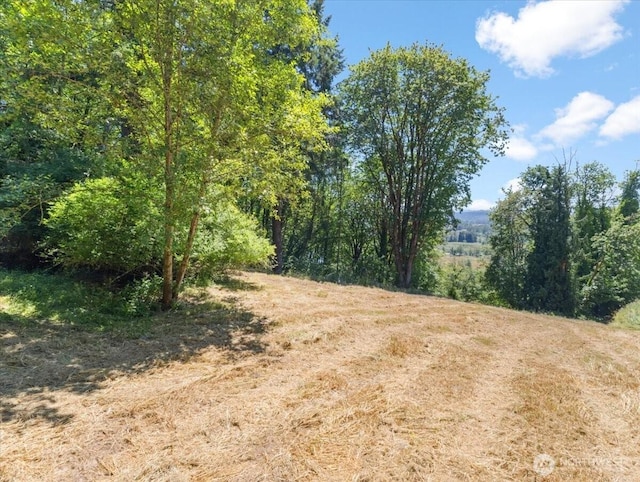 0 Bergly Ln, Longview, WA 98632 - photo 9