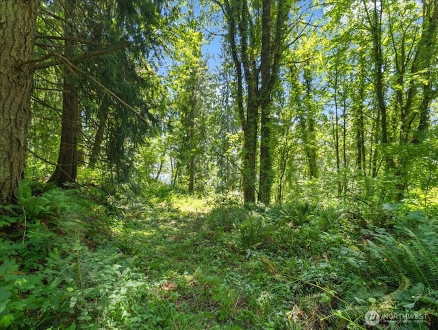 0 Bergly Ln, Longview, WA 98632 - photo 12