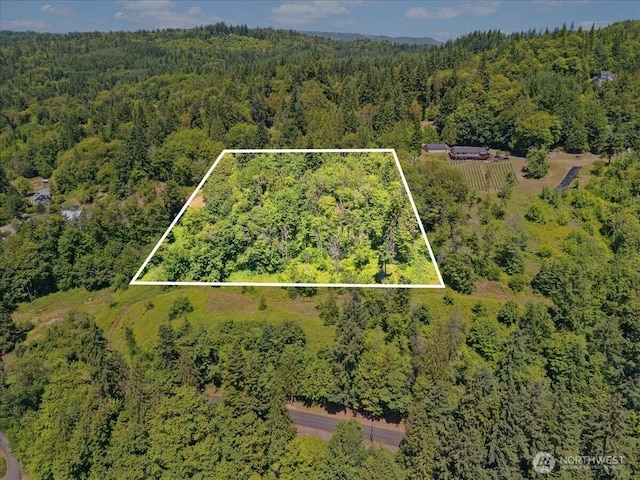 0 Bergly Ln, Longview, WA 98632 - photo 13