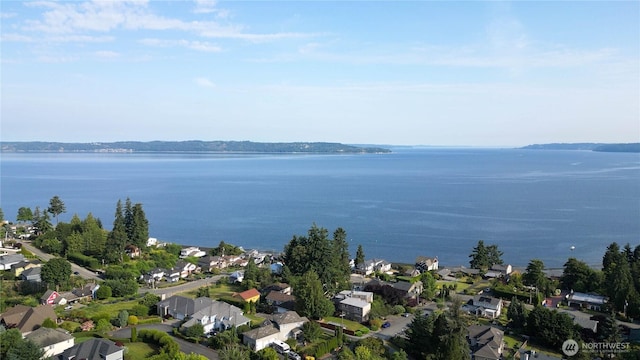 29417 1st Ave S, Federal Way, WA 98003 - aerial overview of property's location with nearby suburban area and a large body of water