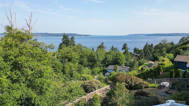 29417 1st Ave S, Federal Way, WA 98003 - water view