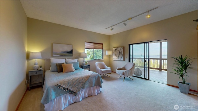 29417 1st Ave S, Federal Way, WA 98003 - carpeted bedroom featuring access to exterior and track lighting