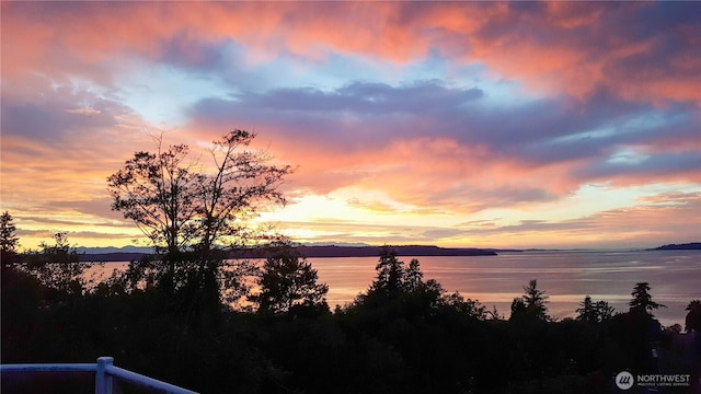 29417 1st Ave S, Federal Way, WA 98003 - water view