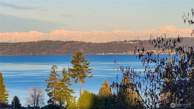29417 1st Ave S, Federal Way, WA 98003 - water view with a mountain backdrop