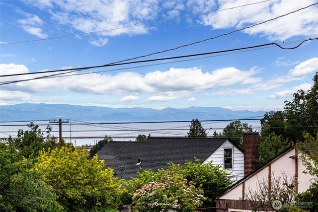 727 E 11th St, Port Angeles, WA 98362 - water view with mountains