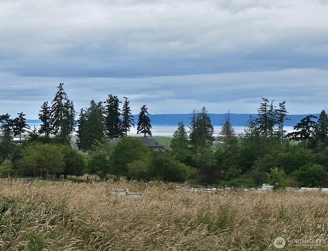 18524 Swanson Ln, Stanwood, WA 98292 - photo 1