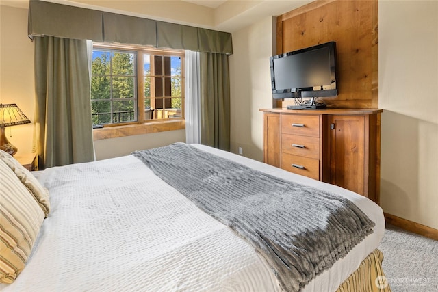 3770 Suncadia Trl Unit 309, Cle Elum, WA 98922 - bedroom with baseboards