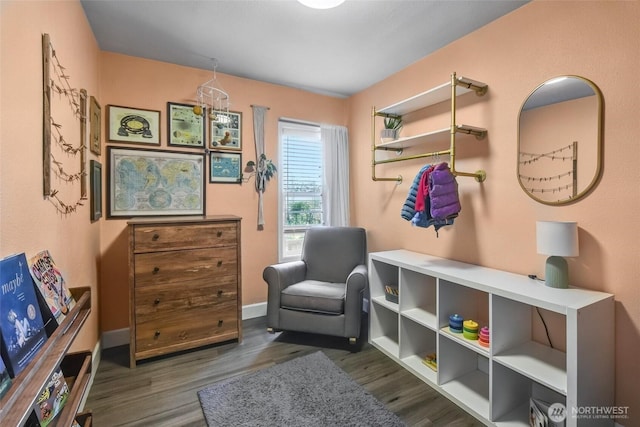 1048 S Director St, Seattle, WA 98108 - photo 16