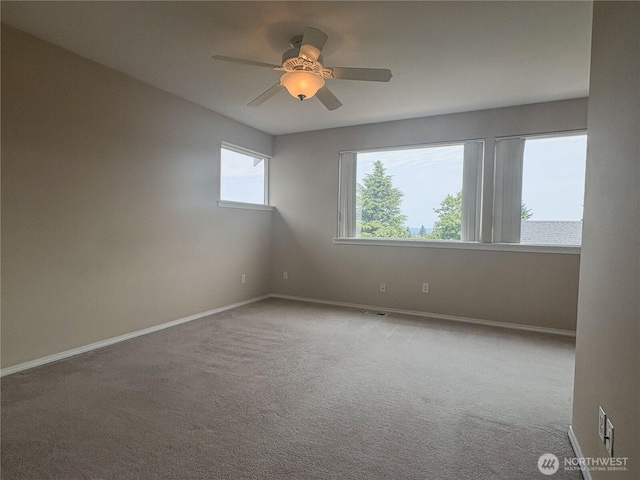 3219 N Shirley St, Tacoma, WA 98407 - photo 11