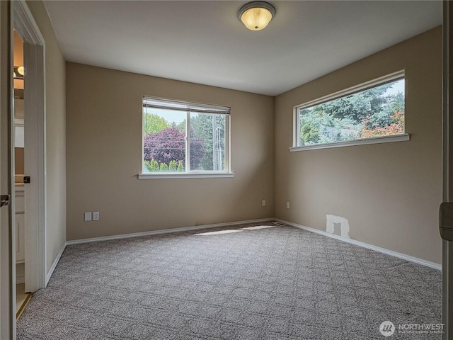 3219 N Shirley St, Tacoma, WA 98407 - photo 17