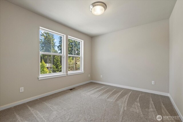8306 59th Ave NE, Marysville, WA 98270 - photo 21