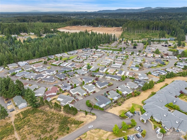 12 Christmas Tree Ln, Shelton, WA 98584 - photo 38