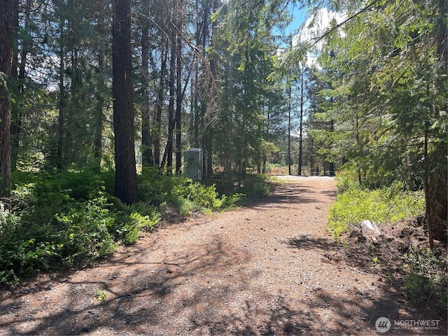 12360 W Shurgart Flats Rd, Leavenworth, WA 98826 - photo 22