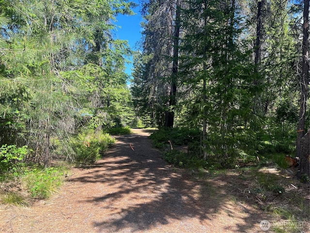 12360 W Shurgart Flats Rd, Leavenworth, WA 98826 - photo 23
