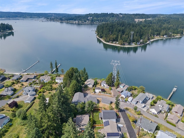 1645 NE Grandview Blvd, Keyport, WA 98345 - photo 2