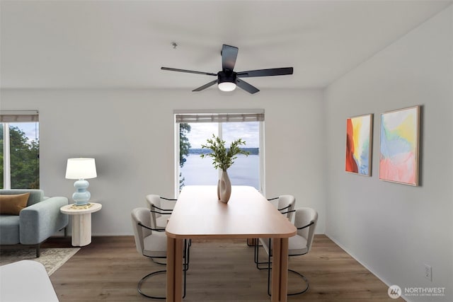 2255 Highview Ln W Unit D101, Bremerton, WA 98312 - dining room featuring ceiling fan and light wood-style floors