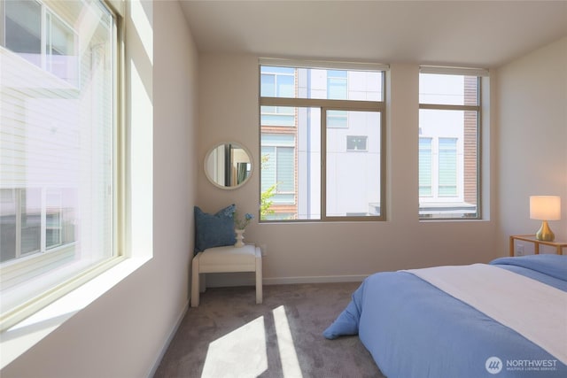 2224 NW 62nd St Unit C, Seattle, WA 98107 - bedroom with multiple windows and carpet