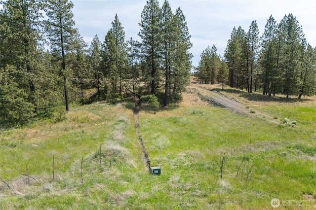 36000 S Bootstrap Ln Lot C, Lot C, Cheney, WA 99004 - photo 4