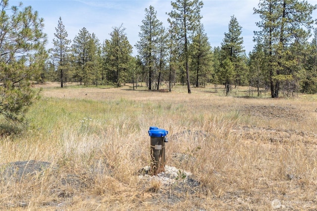 36000 S Bootstrap Ln Lot C, Lot C, Cheney, WA 99004 - photo 5