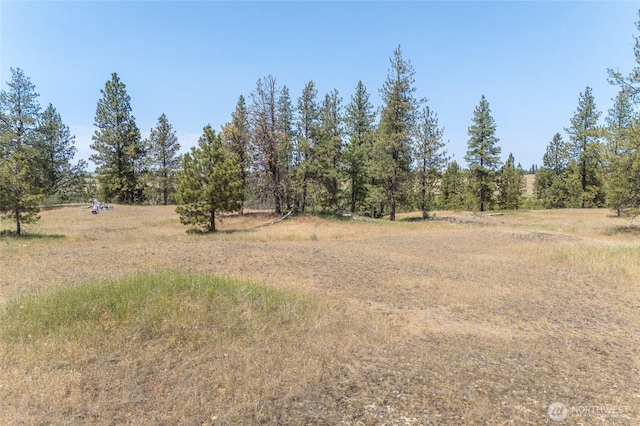 36000 S Bootstrap Ln Lot C, Lot C, Cheney, WA 99004 - photo 6