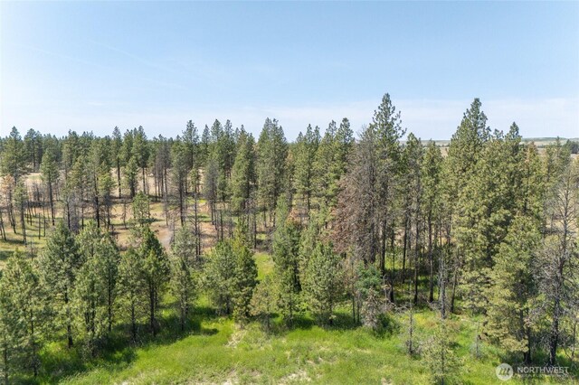 36000 S Bootstrap Ln Lot C, Lot C, Cheney, WA 99004 - photo 8