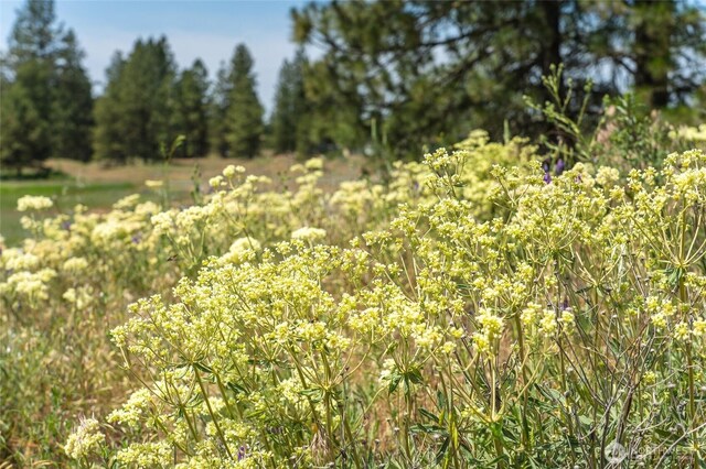 36000 S Bootstrap Ln Lot C, Lot C, Cheney, WA 99004 - photo 13