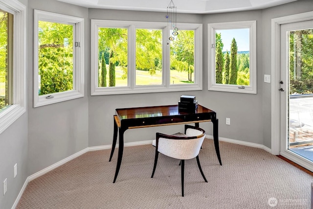 20821 NE 141st St, Woodinville, WA 98077 - home office with carpet and baseboards