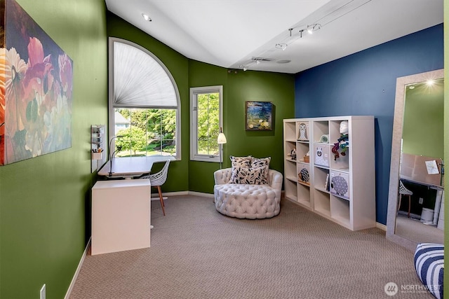 20821 NE 141st St, Woodinville, WA 98077 - sitting room with carpet flooring, lofted ceiling, and track lighting
