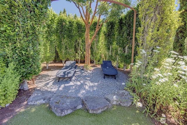 20821 NE 141st St, Woodinville, WA 98077 - view of patio