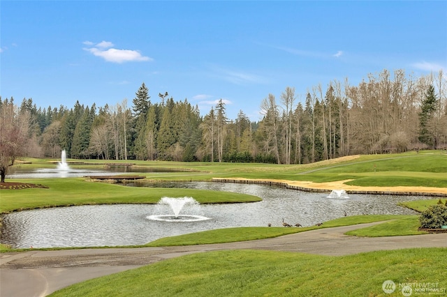 20821 NE 141st St, Woodinville, WA 98077 - view of property's community featuring a lawn and a water view