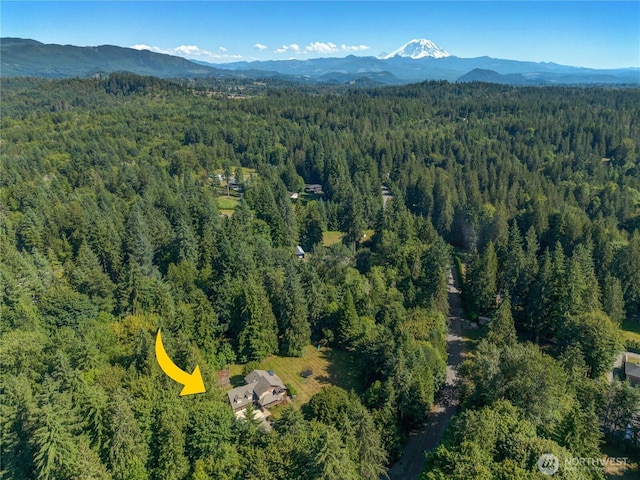 36434 249th Ave SE, Enumclaw, WA 98022 - aerial view of property's location featuring a heavily wooded area and mountains