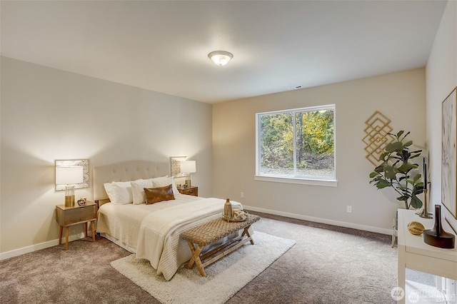 411 198th Avenue Ct NW, Lakebay, WA 98349 - photo 21