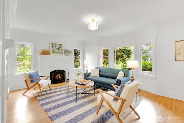1523 4th Ave N, Seattle, WA 98109 - living room with light wood finished floors and a fireplace