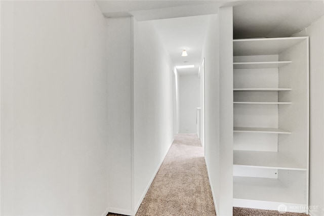 1523 4th Ave N, Seattle, WA 98109 - hallway featuring carpet