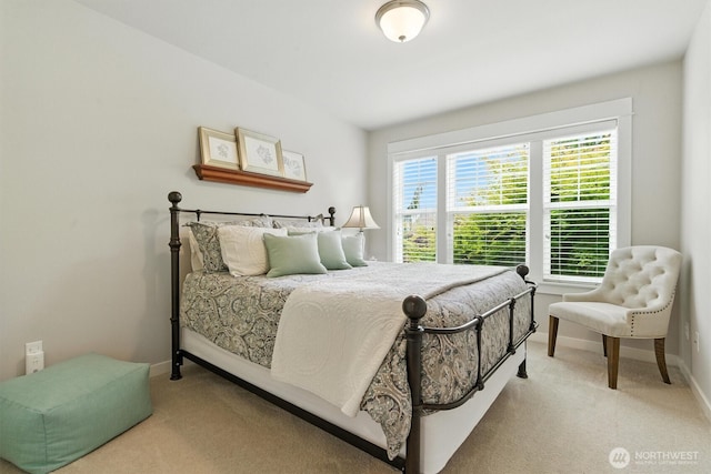 11302 65th Ave, Gig Harbor, WA 98332 - photo 19