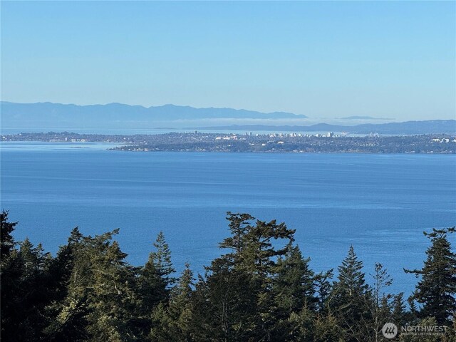 133 Rockledge Rd, Friday Harbor, WA 98250 - photo 3