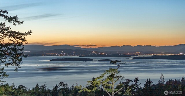 133 Rockledge Rd, Friday Harbor, WA 98250 - photo 5