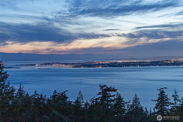 133 Rockledge Rd, Friday Harbor, WA 98250 - photo 7