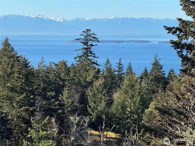 133 Rockledge Rd, Friday Harbor, WA 98250 - photo 15