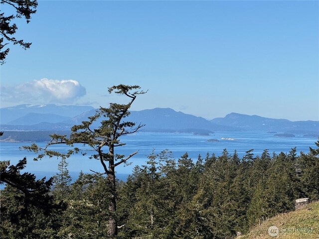 133 Rockledge Rd, Friday Harbor, WA 98250 - photo 18