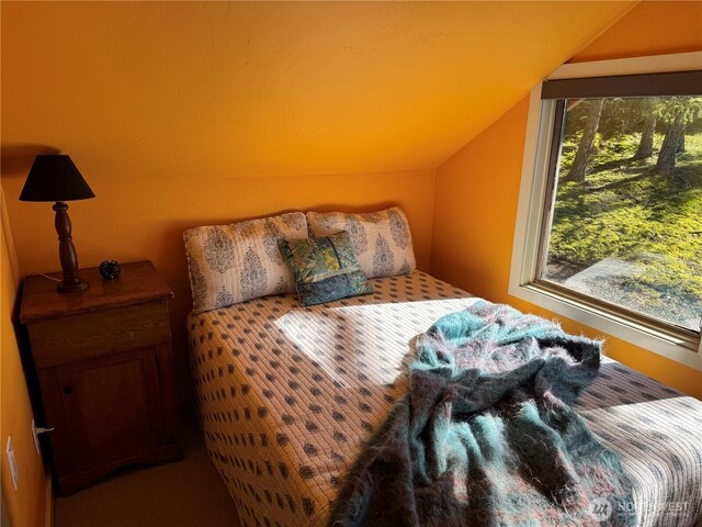 133 Rockledge Rd, Friday Harbor, WA 98250 - photo 35
