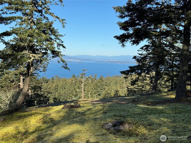 133 Rockledge Rd, Friday Harbor, WA 98250 - photo 22