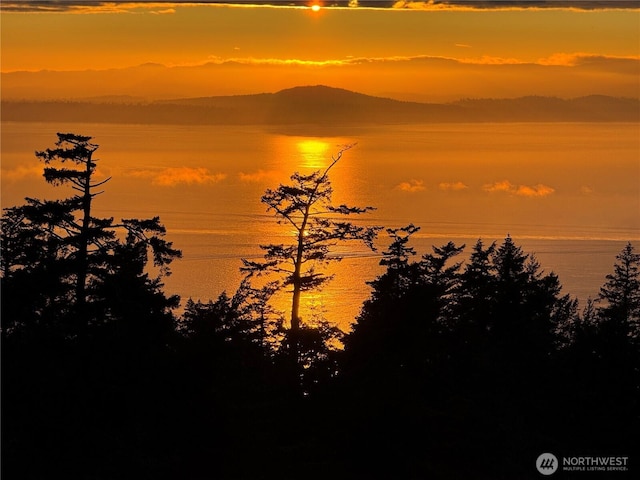 133 Rockledge Rd, Friday Harbor, WA 98250 - photo 23