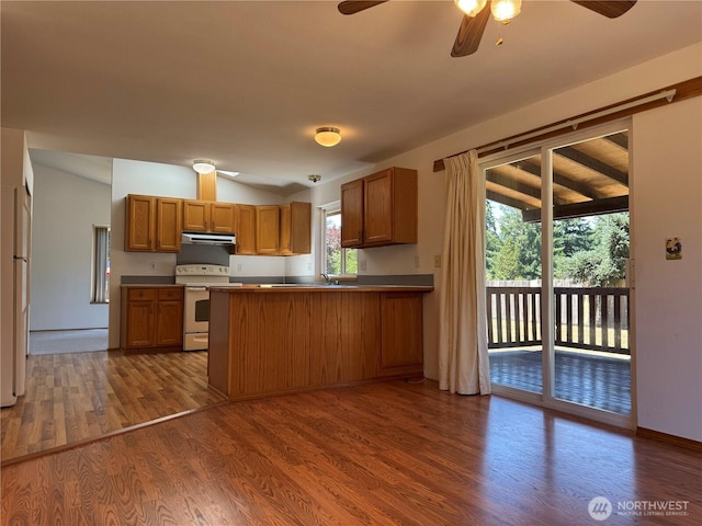 16322 83rd Ct SE, Yelm, WA 98597 - kitchen with electric stove, exhaust hood, brown cabinets, a ceiling fan, and lofted ceiling