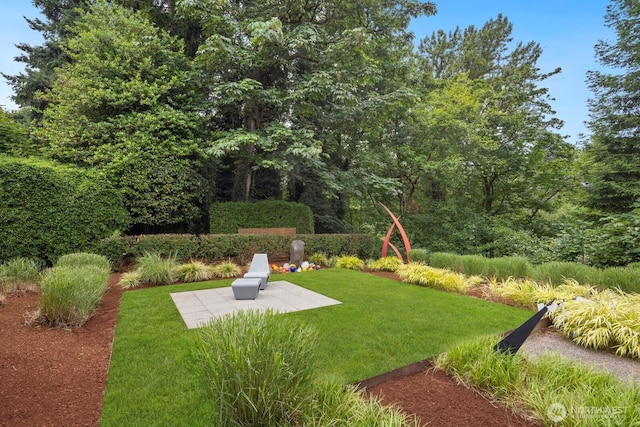 4983 120th Ave SE, Bellevue, WA 98006 - view of green lawn featuring a patio area