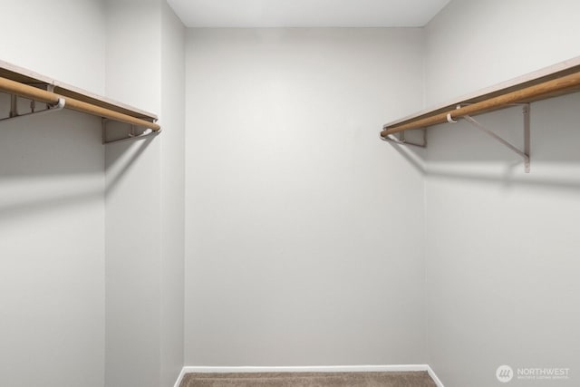 4983 120th Ave SE, Bellevue, WA 98006 - walk in closet with carpet floors