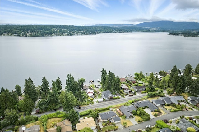 2500 171st Ave SE, Bellevue, WA 98008 - view of property location with nearby suburban area and a water and mountain view