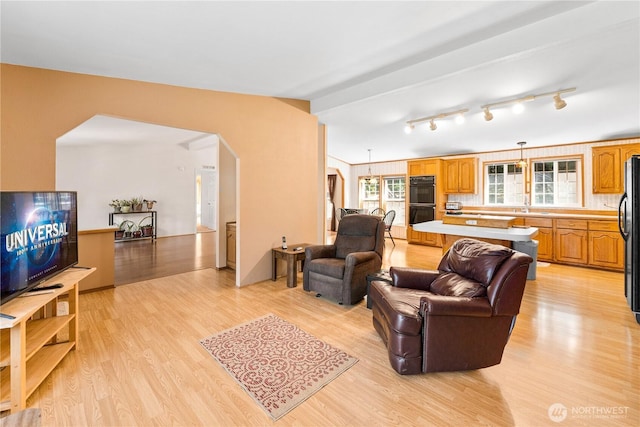 301 Salmonberry Ln, Friday Harbor, WA 98250 - living area featuring arched walkways and light wood-style flooring
