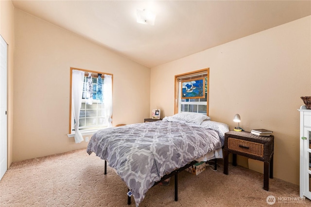 301 Salmonberry Ln, Friday Harbor, WA 98250 - bedroom featuring lofted ceiling and carpet floors